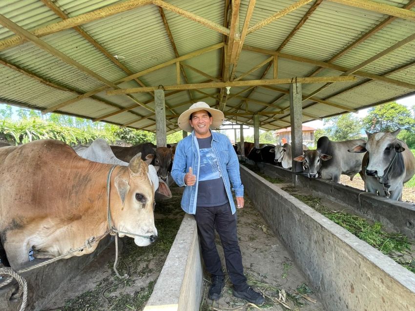 Stok Sapi Cukup, Shohibul Qurban di Karo Menurun