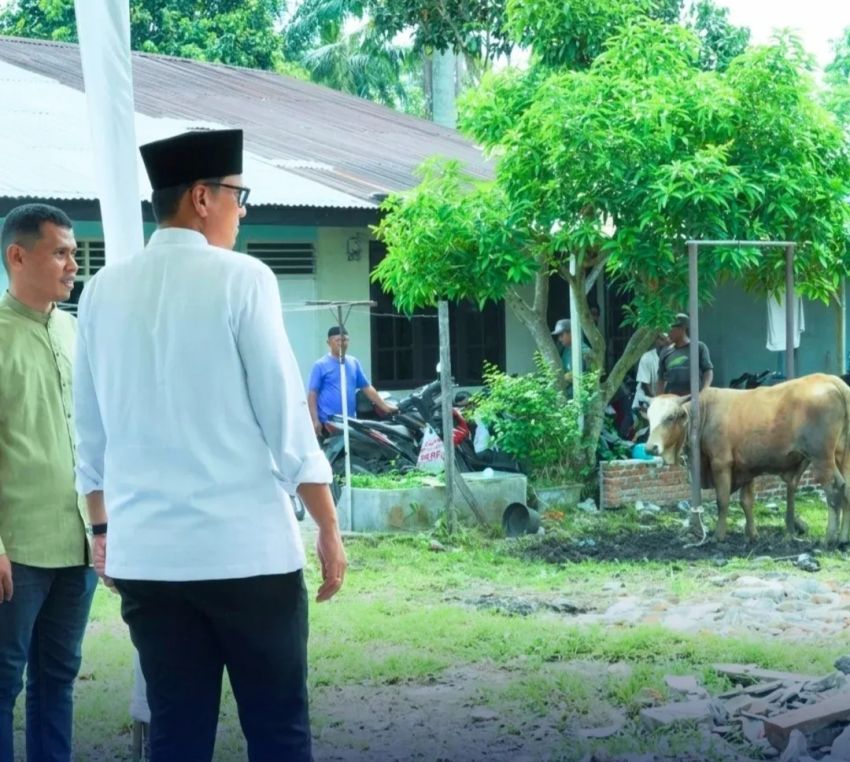 Di Medan, 10.586 Ekor Hewan Kurban Disembelih, Partisipasi ASN Signifikan