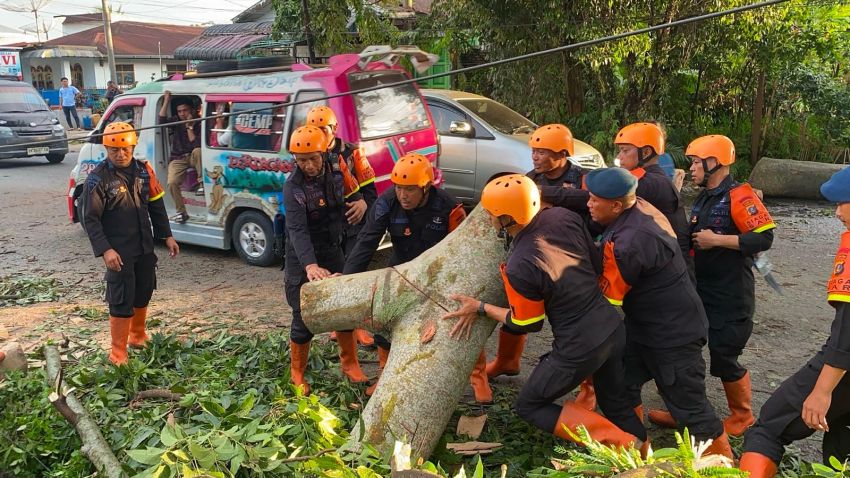 Pohon Tumbang di Siantar Tutup Akses Jalan, Brimob Polda Sumut Gerak Cepat Bantu Warga