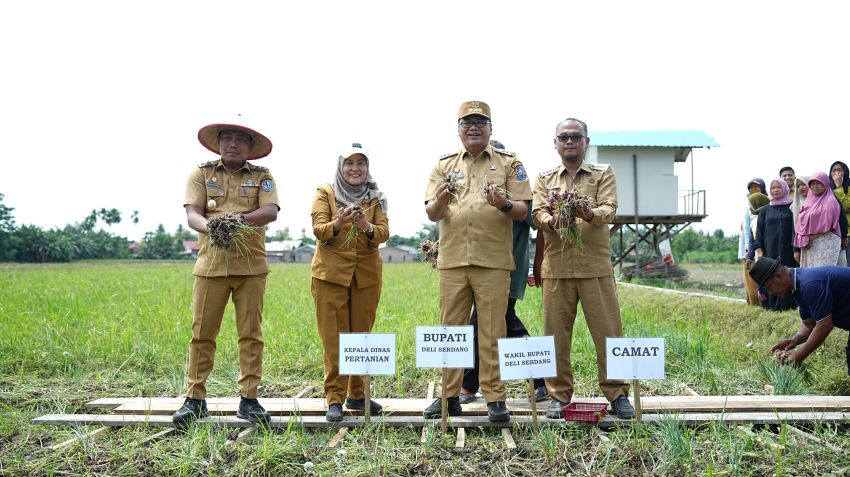 Bupati Percepat Modernisasi Pertanian Demi Efisiensi dan Produktivitas