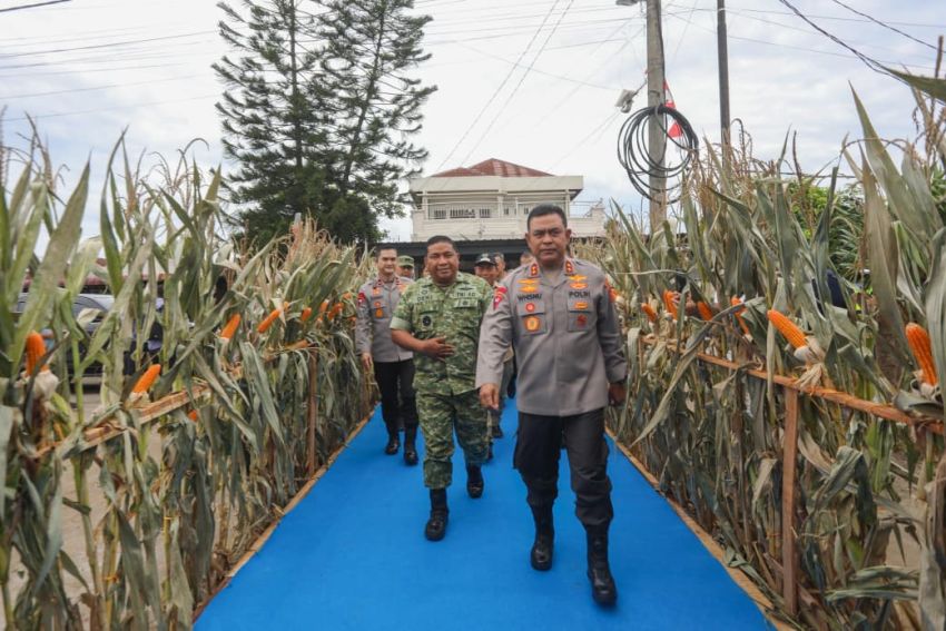 Polda Sumut Ikuti Panen Raya Jagung Serentak Polri Bersama Presiden Prabowo