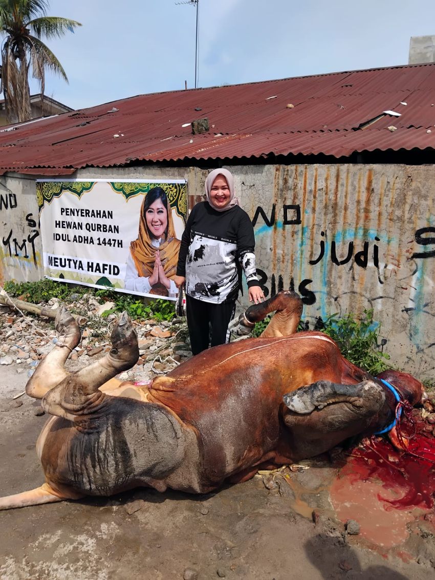 Majelis Ta'lim dan Dzikir Al Haura Sumut Sembelih 3 Hewan Kurban di Medan dan Batubara