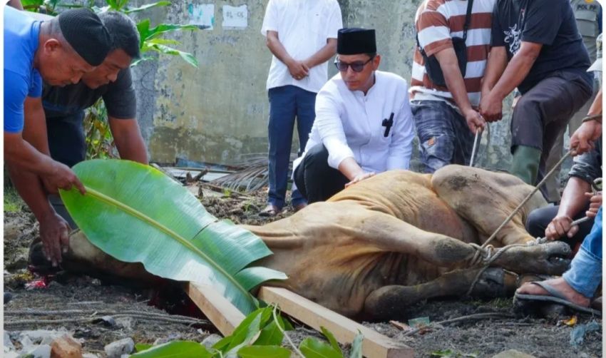 Saksikan Penyembelihan Hewan Kurban Pejabat Pemko Medan, Rico Waas: Bukan Sekadar Pengorbanan tapi ...