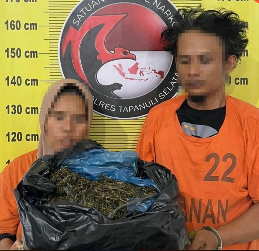 Polres Tapsel Gagalkan Penyelundupan Ganja 3 Kg