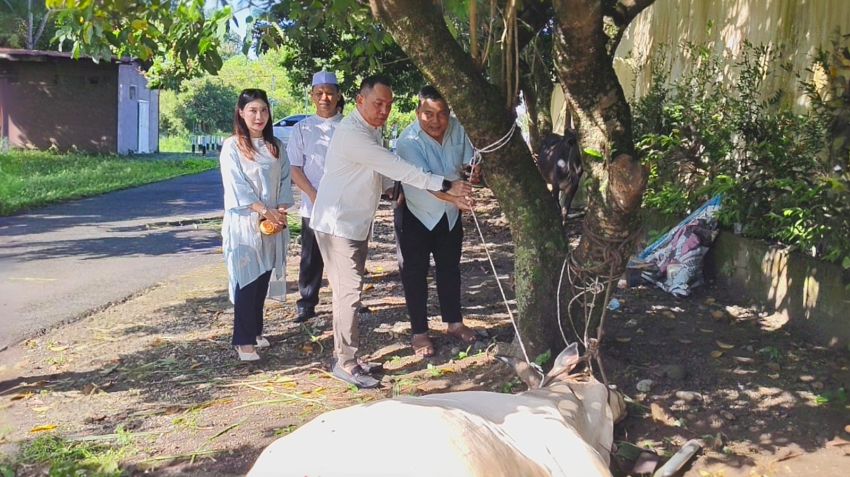 Hari Raya Idul Adha 1447 H, Polres Binjai Kurban 7 Ekor Sapi dan 3 Ekor Kambing