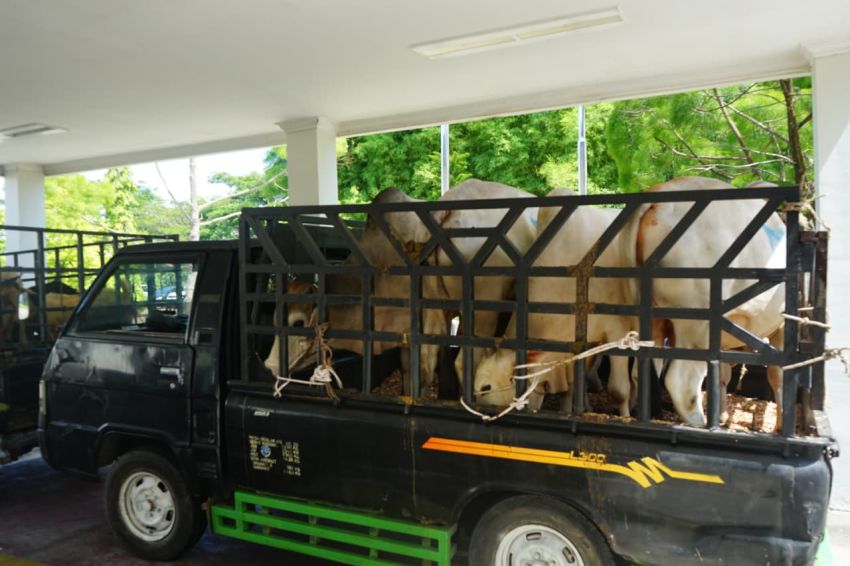 Pemkab Deli Serdang Sambut Baik Program CSR Hewan Kurban PT Angkasa Pura Aviasi