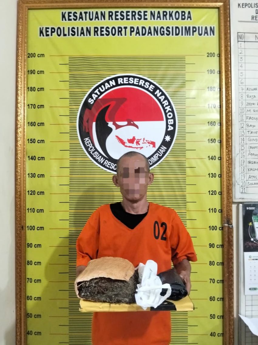 Pria 53 Tahun di Padangsidimpuan Ditangkap Saat Bawa 900 Gram Ganja