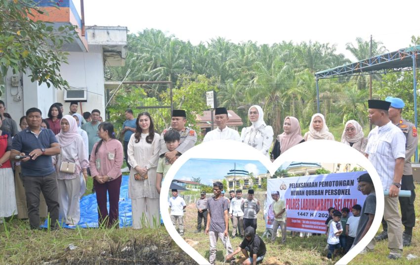 Polres Labusel Sembelih 8 Ekor Lembu, Bagikan Daging Kurban ke Anak Yatim dan Warga Setempat