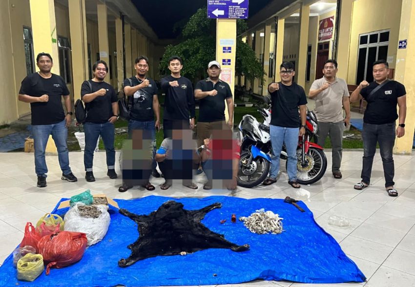 Polres Simalungun Bongkar Perdagangan Satwa Dilindungi