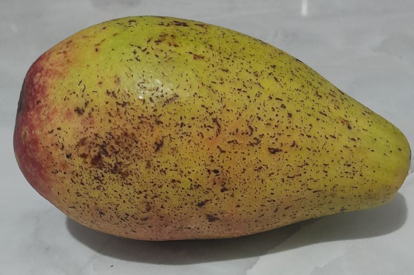 Oh Ternyata Ini yang Kamu Dapatkan Jika Rutin Sarapan Alpukat