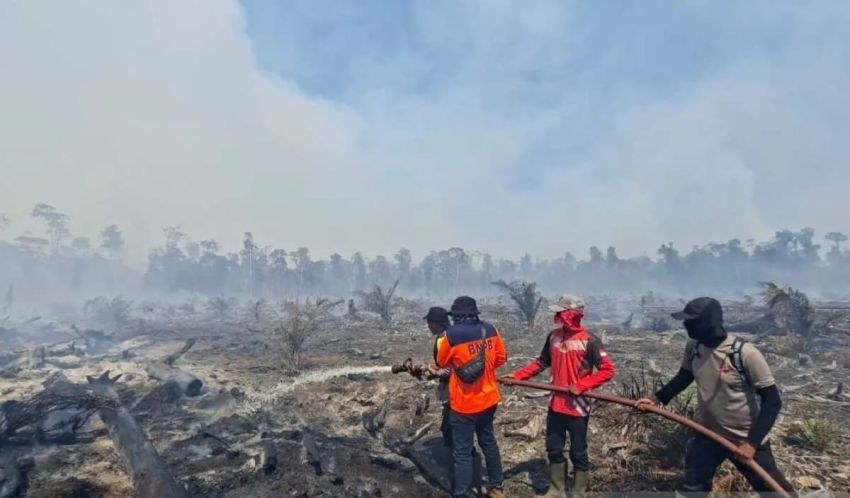 Karhutla Aceh Barat Meluas Mencapai 31,1 Hektar di 5 Kecamatan