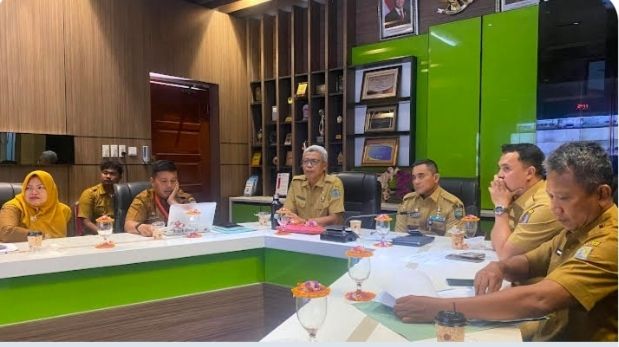 Sekda Binjai Ikuti Raker Komisi II DPR RI, Bahas Penataan PPPK dan Relaksasi Belanja Pegawai Daerah
