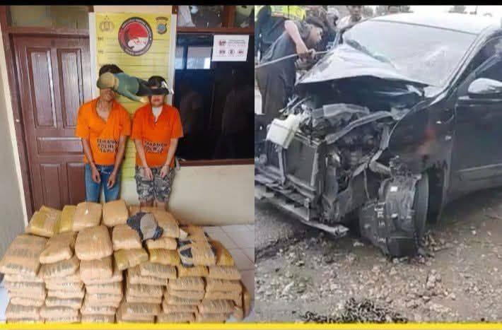 Polres Taput Amankan 2 Kurir Narkoba, 112 Paket Ganja Kering Disita