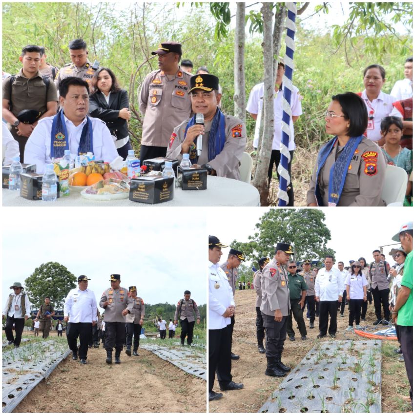 Kapolda Sumut Tinjau Sentra Bawang Putih di Samosir
