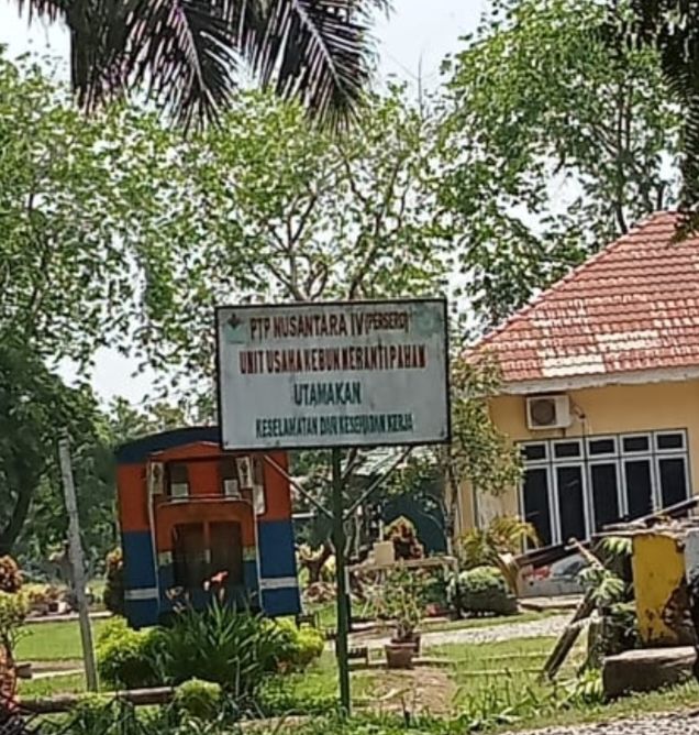 Perekrutan PKWT PTPN IV MEP Dipertanyakan, BHL Bertahun-Tahun Tersingkir, BHL Baru Justru Diangkat