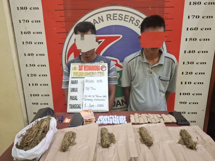 Satres Narkoba Polres Padang Lawas Tangkap Dua Terduga Pengedar Ganja