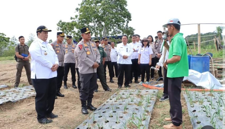 Kapolda Sumut Irjen Pol Whisnu Hermawan Monitoring Produksi Bawang Putih di Samosir