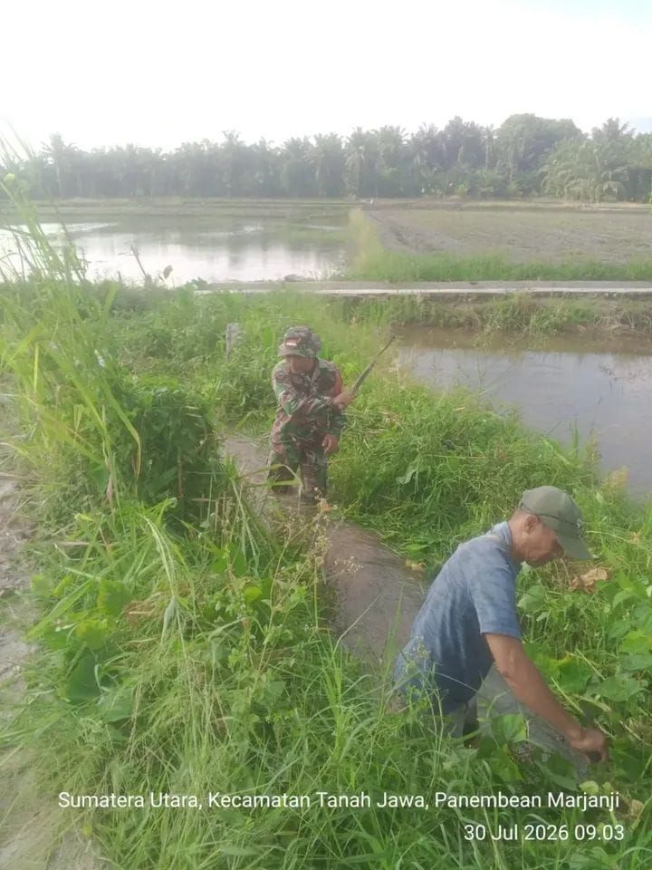 Gotong Royong Babinsa dan Petani Simalungun Jadi Kunci Sukses Program Tanam Serentak