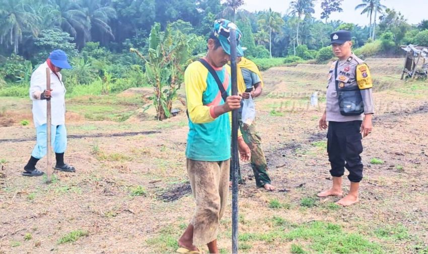Bhabinkamtibmas Polsek Siantar Timur Cek Lahan Jagung Petani Binaan di Jalan Pattimura Ujung