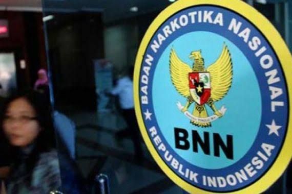 BNN Sumut Gagalkan Peredaran 92 Kg Ganja Jaringan Aceh-Medan, 2 Pelaku Diangkap
