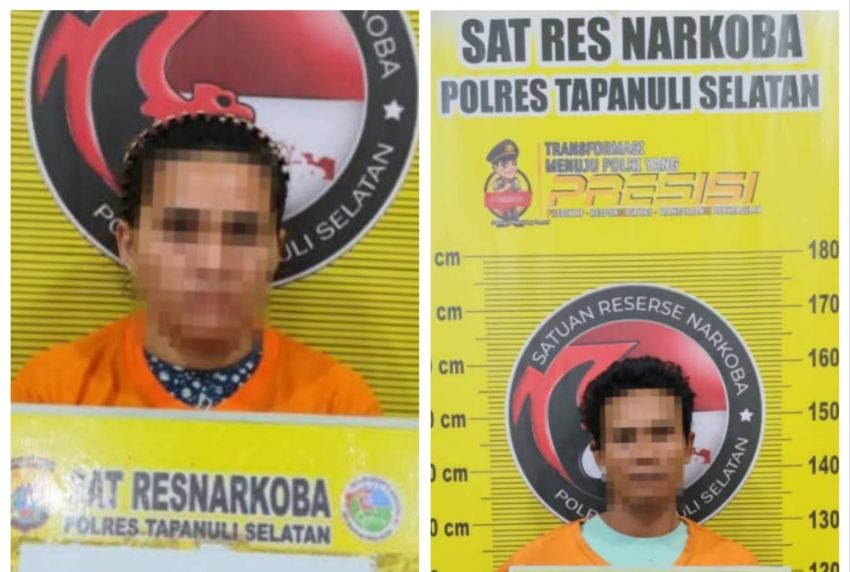 Satresnarkoba Polres Tapanuli Selatan Gagalkan Peredaran Narkotika, 5.000 Gram Ganja Diamankan