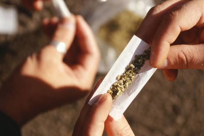 Duh! Ngedar Ganja ke Teman Kampus, 2 Mahasiswa Ditangkap