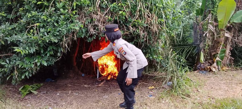 Polsek Binjai Kembali Grebek Sarang Narkoba di Tandem Hilir