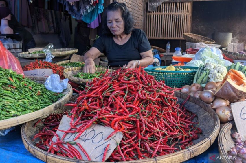 Harga Cabai Merah dan Daging Ayam di Sumut Mulai Menggila