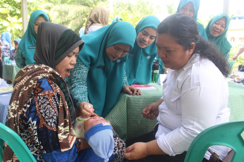 Ketua TP PKK Asahan Minta Posyandu Terapkan 6 SPM