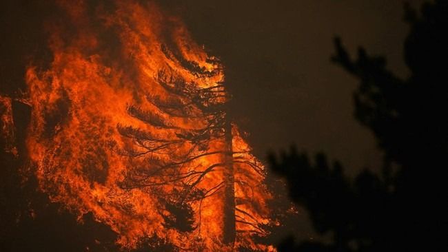 Eropa Terbakar! Ratusan Ribu Warga Spanyol dan Prancis Dievakuasi