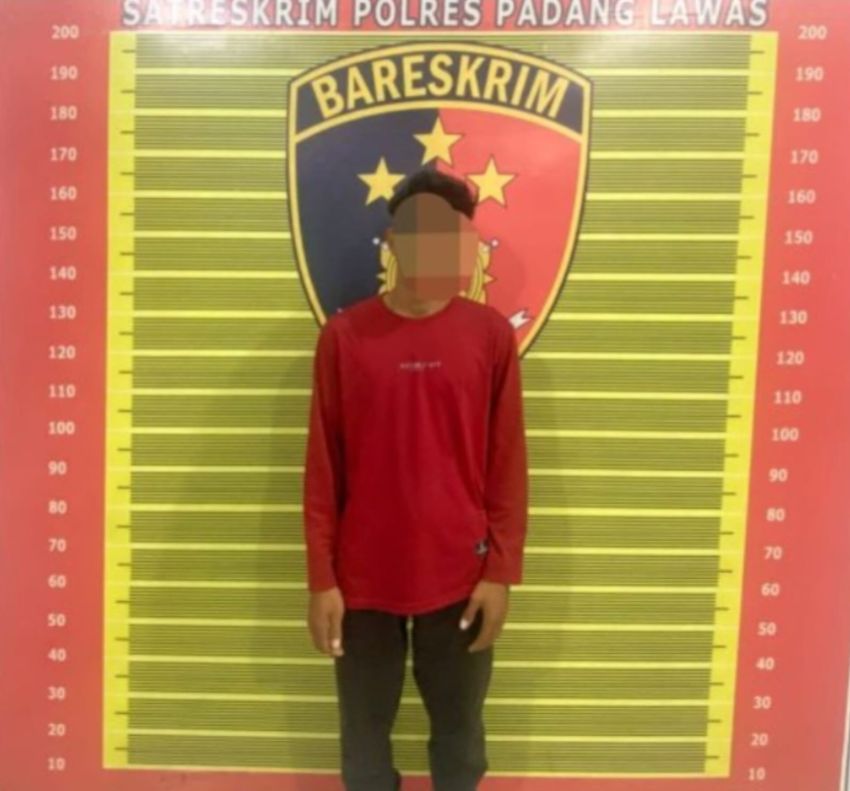Kepergok Curi Buah Sawit Milik PT Barapala, Pemuda Ini Diamankan Polres Palas