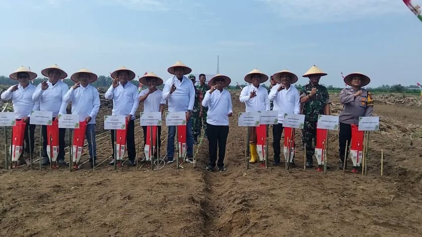 TNI dan PTPN IV Pacu Ketahanan Pangan, Pilot Project Kedelai 1.000 Hektare Dimulai di Simalungun