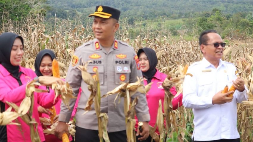 Polres Pakpak Bharat Panen Raya Komoditas Jagung di Desa Ulu Merah
