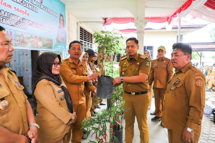 Pemko Bagikan Pohon Cabai Layak Konsumsi ke 53 Kelurahan se-Kota Pematangsiantar