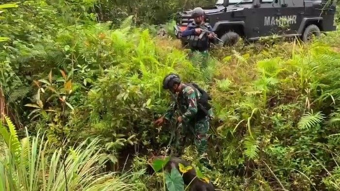 2 Anggota OPM Tewas dalam Baku Tembak dengan Prajurit TNI di Yahukimo