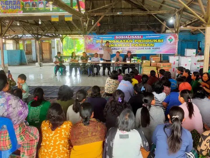 Polsek Barusjahe Dukung Peningkatan Produksi Tanaman Pangan Lewat Sosialisasi di Desa Semangat