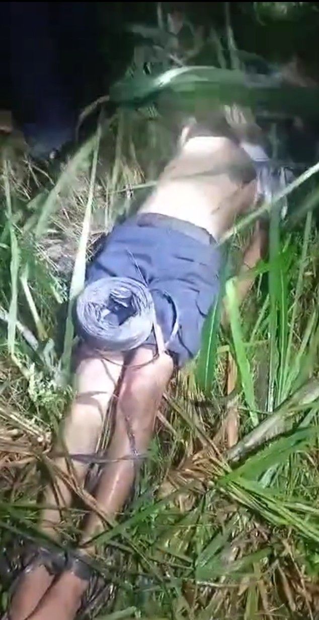 Mayat di Kebun Tebu Bulu Cina Driver Taksi Online, Diduga Korban Dirampok dan Dibunuh