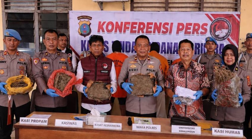 Duh..!!! Polisi Bongkar Kasus Peredaran Ganja di Universitas Simalungun