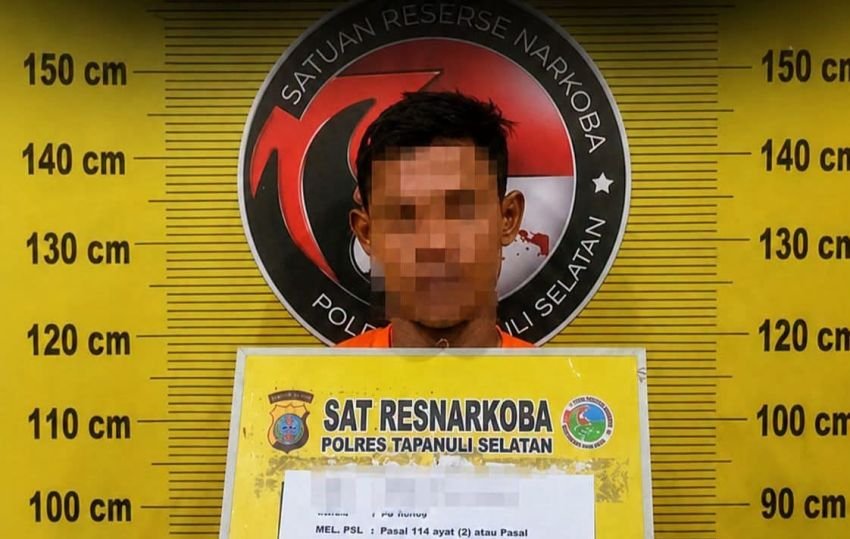 Polres Tapsel Gagalkan Peredaran 2 Kg Ganja, Seorang Warga Sidimpuan Diringkus