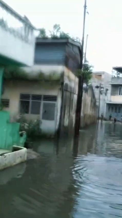 Bertahun-tahun Dikepung Genangan Air, Warga Gang Pelita II Medan Maimun Minta Wali Kota Medan Turun Tangan