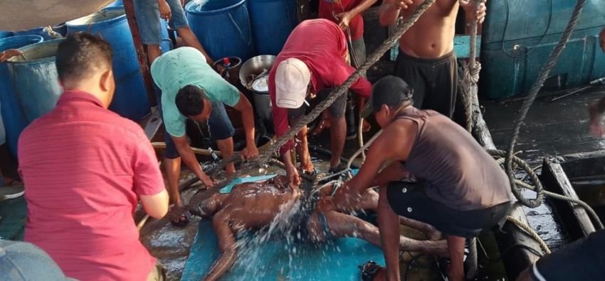 3 Nelayan Tewas di Kapal Saat Melaut