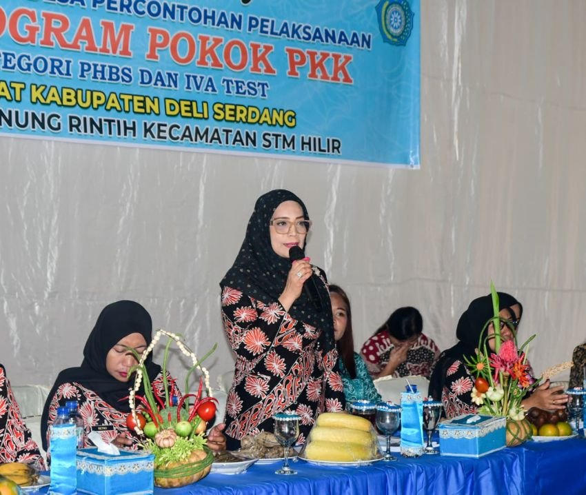 Monitoring PKK di STM Hilir, Perkuat UP2K, PHBS dan IVA Test