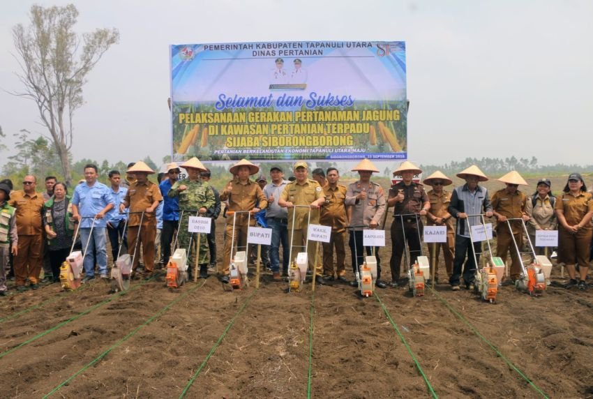 Dorong Pertanian Modern dan Berkelanjutan, Pemkab Tapanuli Utara Tanam Jagung Bersama di Kawasan Pertanian Terpadu Sijaba