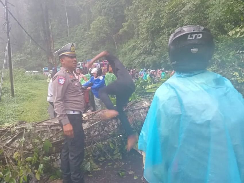 Satlantas Polres Karo Gerak Cepat Tangani Pohon Tumbang di Jalur Medan-Kabanjahe