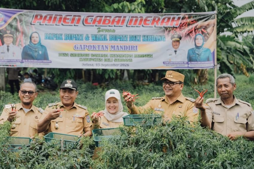 Petani Beringin Perluas Tanam Cabai, Pemkab Hadir Jaga Harga dan Kesejahteraan