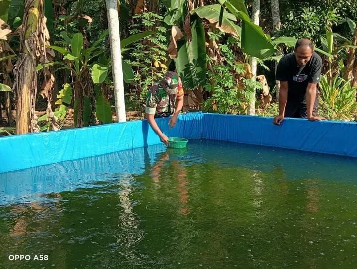 Budidaya Lele Warga Jadi Perhatian Babinsa Serbelawan Tekankan Pentingnya Kebersihan Kolam