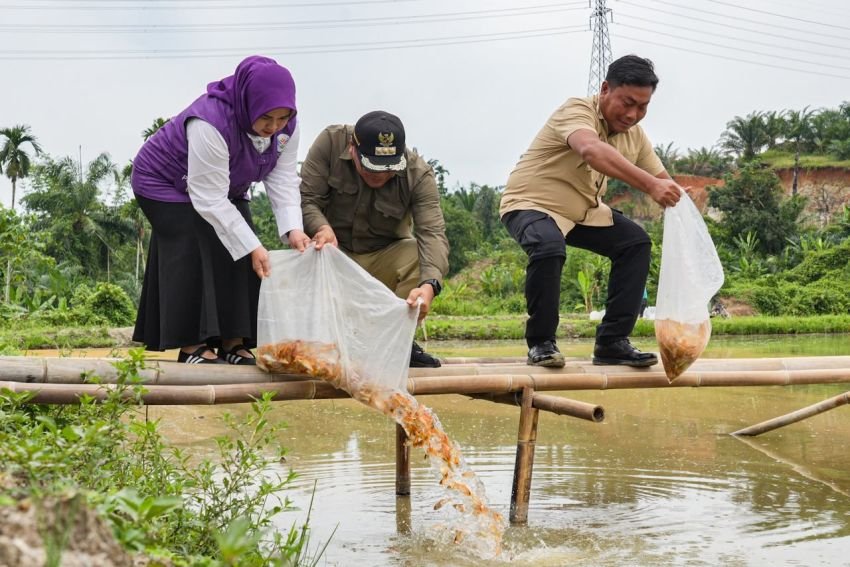 Bupati Tebar 10 Ribu Benih Ikan Mas di STM Hilir
