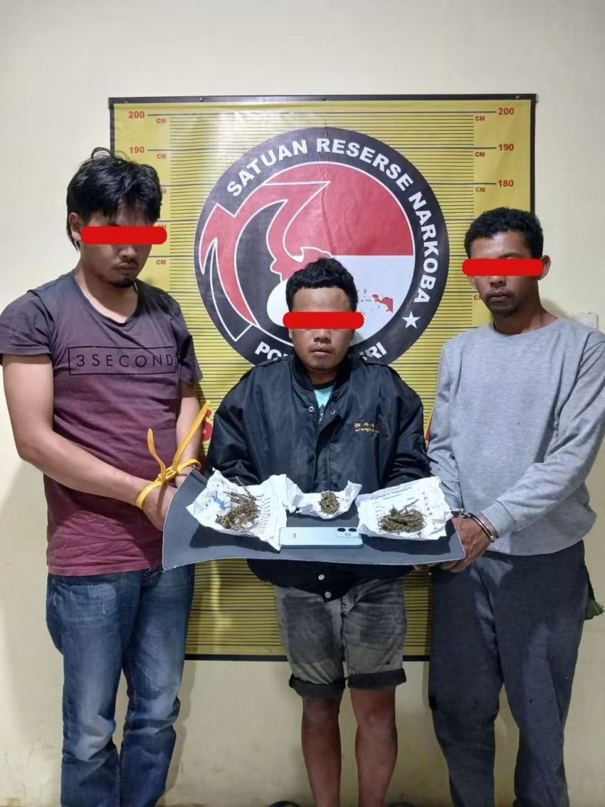 Ringkus Kurir Hingga Pemasok Ganja, Sat Narkoba Polres Dairi Bertekad Putus Rantai Narkoba di Sidikalang