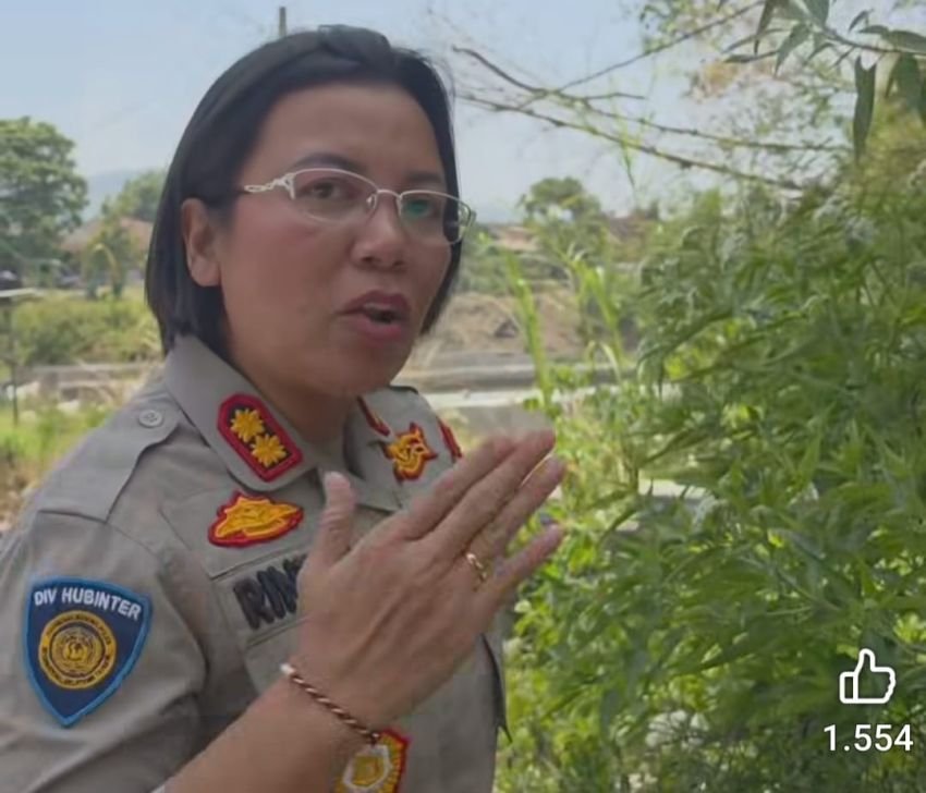 Bapa Uda Kandung  Tega  'Gituin' Putri Abangnya yang Yatim Piatu, Sampai Mengandung
