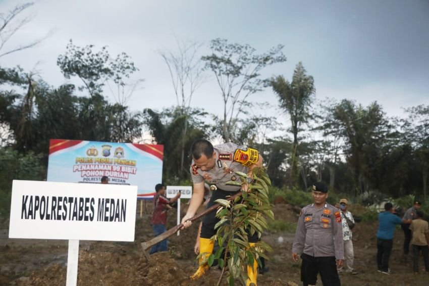 Hujan Deras Tak Surutkan Semangat Kapolrestabes Medan Tanam 99 Pohon Durian di Kutalimbaru